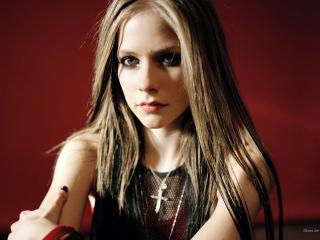 обои Avril Lavigne фото