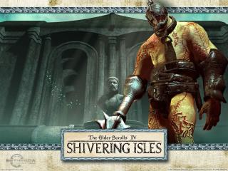 обои The Elder Scrolls IV - Shivering Isles фото