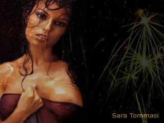 обои Sara Tommasi фото