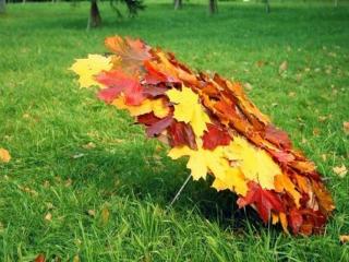 обои Осенний зонт фото