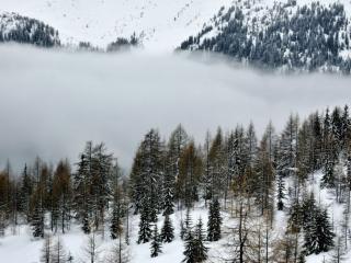 обои Зимний туман в горах фото