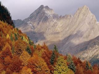 обои Осенние горы фото