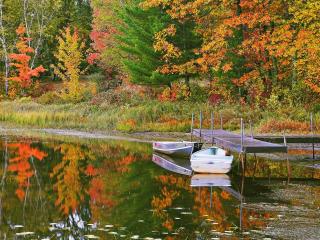 обои Осеннее озеро фото