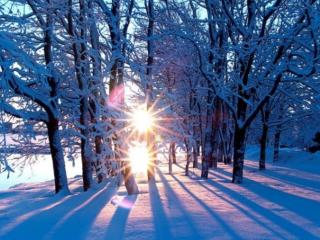 обои Два зимних солнца фото