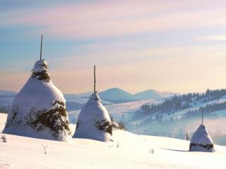 обои Стожки под снегом в Карпатах фото