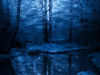 обои Синий вечер зимой у воды фото