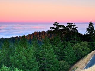 обои Леса и дорога выше облаков фото