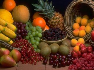 обои Сбор фруктовых ягод фото