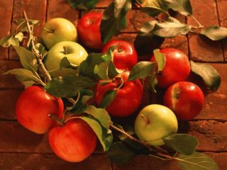 обои Красные и зелёные яблочки фото