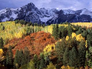 обои Красочная осень в горах фото