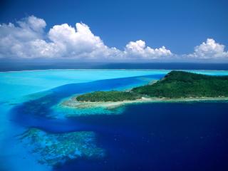 обои Зеленый остров в мелкой воде океана фото