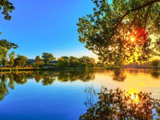 обои Закат у озера сквозь листву дерева фото