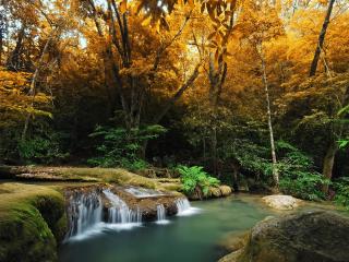 обои Осень у лесной речки фото