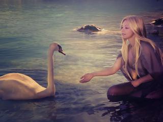 обои Блондинка и лебедь фото