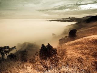 обои Туман на склоне горы фото