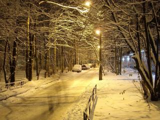 обои Зимняя улица вечером фото