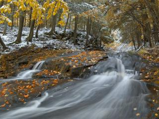 обои Стремительная река в осеннем лесу с первым снегом фото