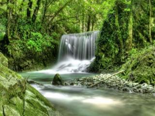 обои Тихий лесной водопад фото