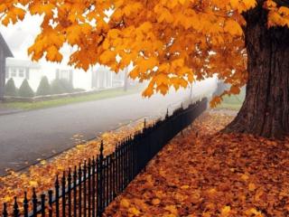 обои Осень в маленьком городке фото