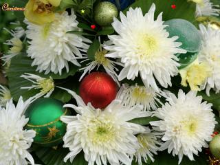 обои Белые хризантемы и новогодние игрушки фото