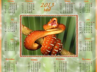 обои для рабочего стола: Календарь - 2013 - Змейка
