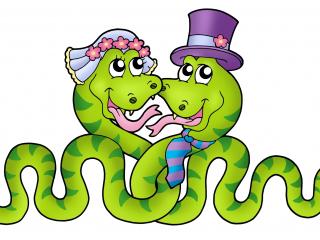 обои Рисунок змеиной свадьбы фото