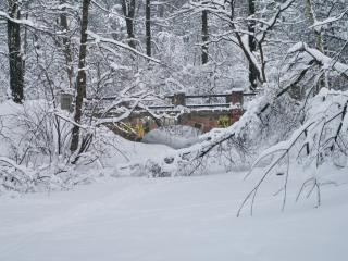 обои Мост между деревьев зимoй фото