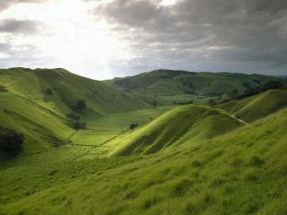 обои Пейзаж с зелеными холмами фото