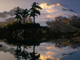 обои Кривые деревья на горном холме у озера фото
