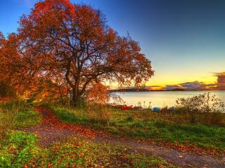 обои Осенние деревья и лодки на берегу фото