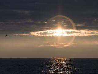 обои Туманное солнце над морем фото