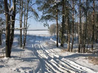 обои Зимними дорогами фото