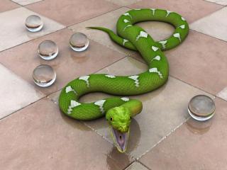 обои Зеленая змея и шары фото
