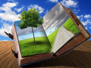 обои Открытая книга с полевой дорогой и деревом фото