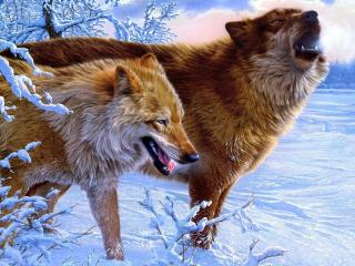 обои Рисунок животных в зимнем лесу фото