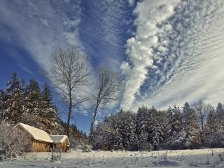 обои Зимнее небо,   домик и ельник фото