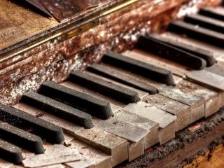 обои Клавиши старогo рояля фото