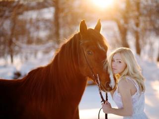 обои Зимой с лошадью фото