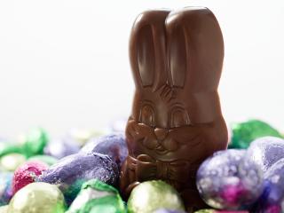 обои Шоколадный заяц в окружении яиц фото