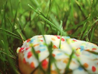 обои Глазированное печенье в траве фото
