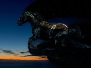 обои Лошадь со шлейфом темной ночи фото