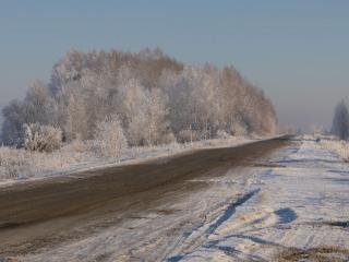 обои Зимняя дорога России фото