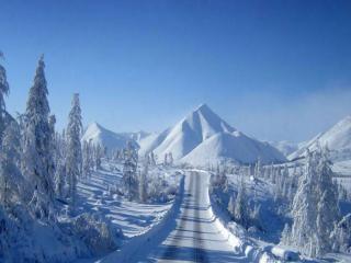 обои Зимняя дорога фото