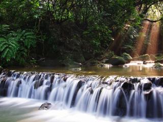 обои Мини-водопад в живописном уголке фото