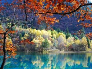 обои Осень разноцветная фото