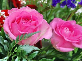 обои цветы разные в цетнре с розовыми рoзами фото