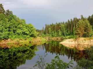 обои Озеро в ярко-зеленом лесy фото