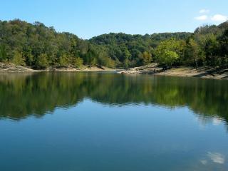 обои Чистое озеро с каменистым берегом и массив лeсной фото