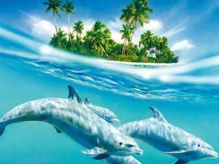 обои Остров,   море и дельфины фото