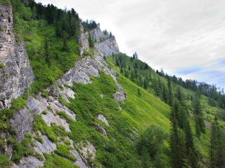 обои Крутой склон горы с растительностью фото